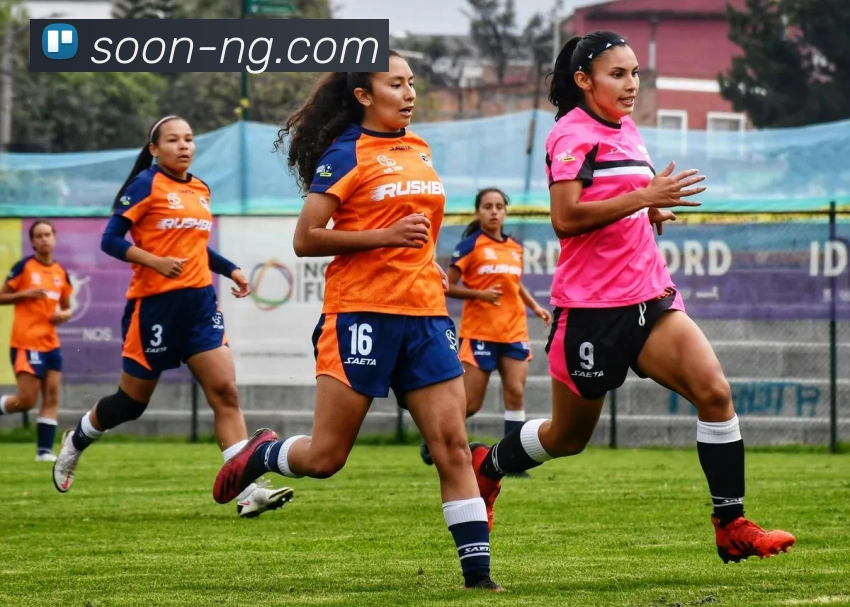 NG体育品牌故事